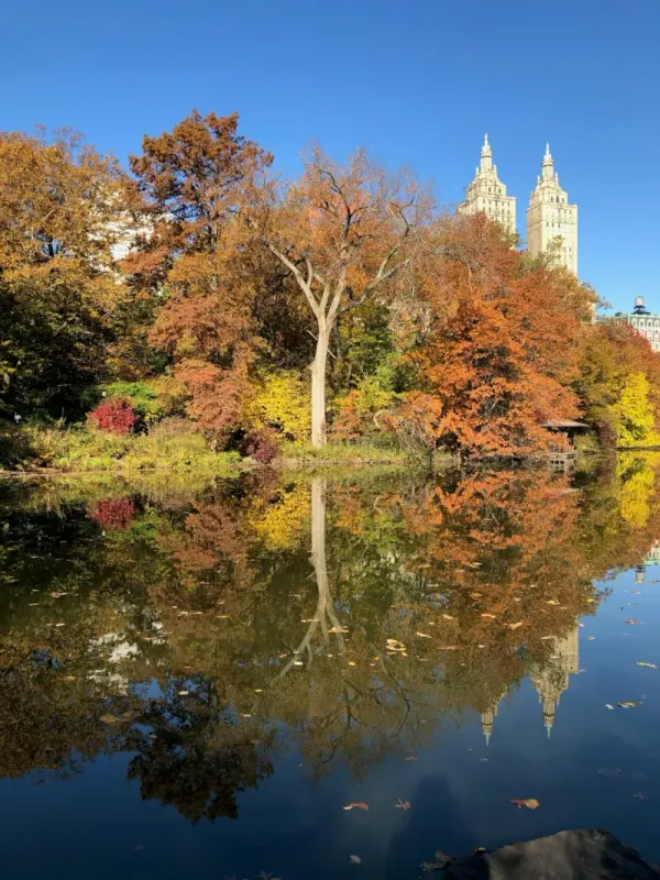 Paysage de l’escale New York