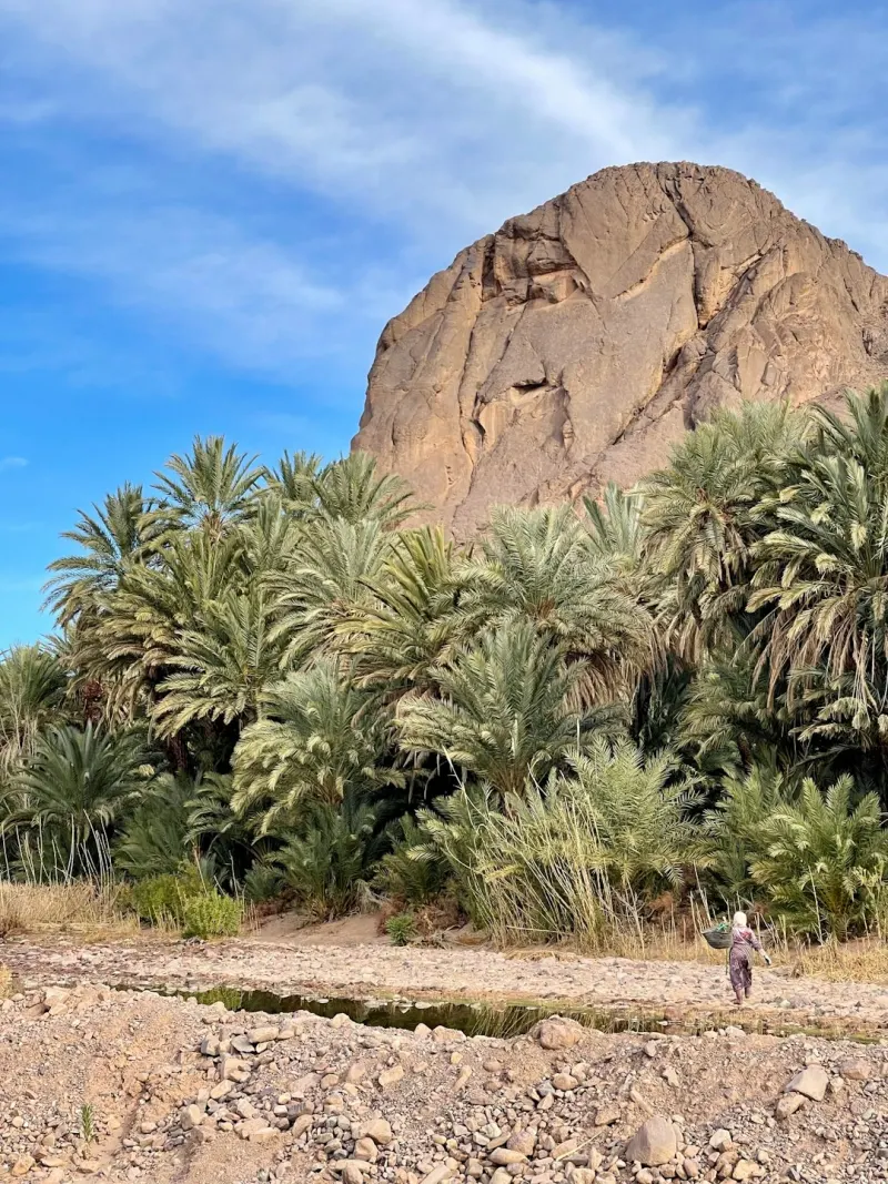 Escale Maroc — Argan, fleur d'oranger
